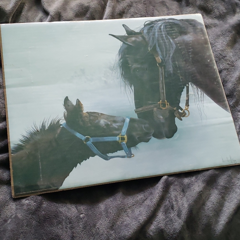 2  16"x20" horse posters